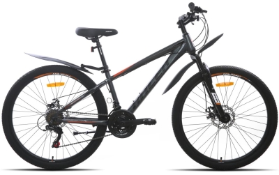 Racer Boxfer 26 (2023) 