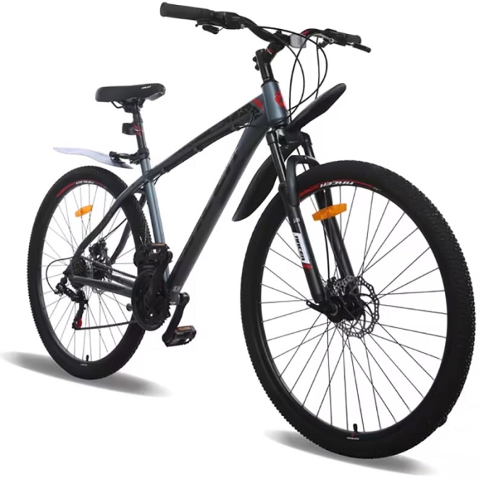 Racer Boxfer 29 (2023) 