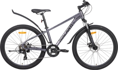 Nialanti Stellar MD 26 (2025)