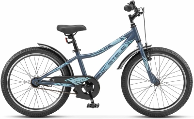 Stels Pilot 210 20 Z010 (2022)