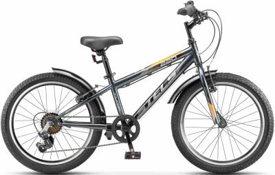 Stels Turbo 220 V 20 (2026) 