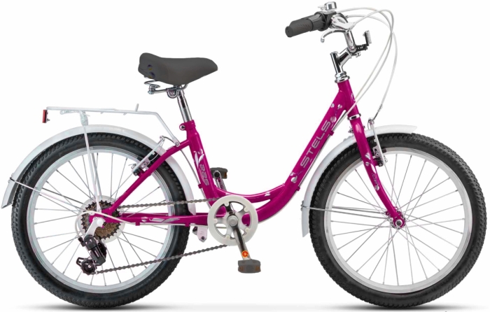 Stels Pilot 225 V 20 (2024) 