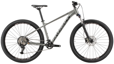 Silverback Series 8 29 (2025)