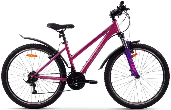 AIST Quest W (2024)