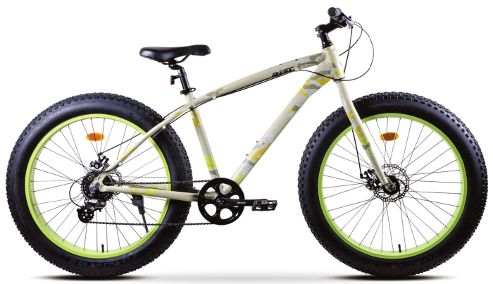 Aist FBS (2025)