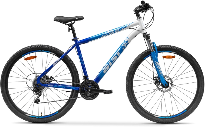 AIST Quest Disc 29 (2025) 