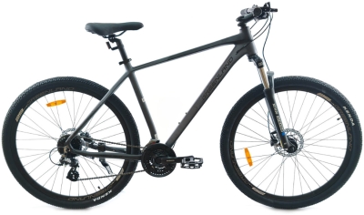 Greenland Atlas 29 (2024) 