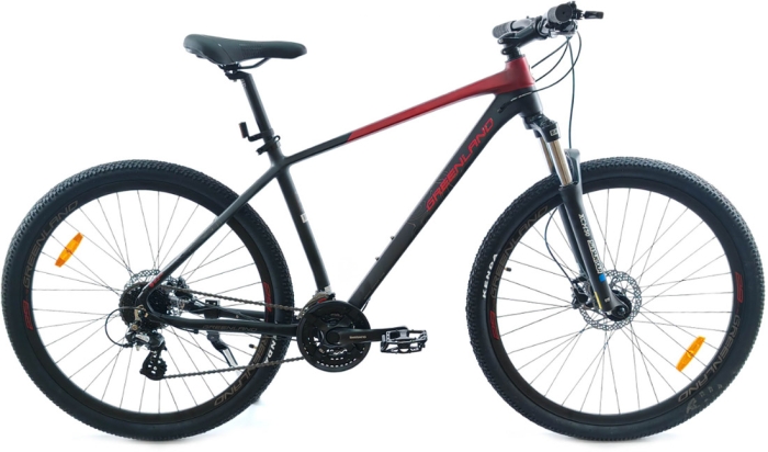 Greenland Atlas 29 (2024) 