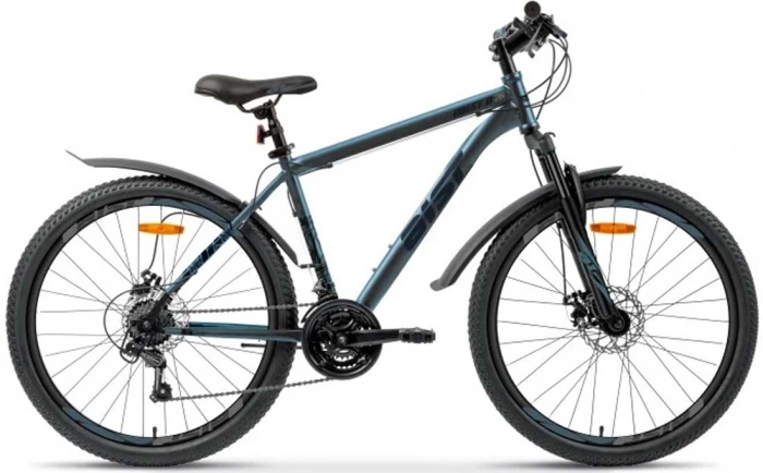 AIST Quest Disc (2024)
