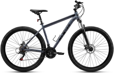 Maxter Boxfer 29 (2026)