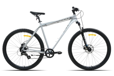 Racer Expert 29 (2025)