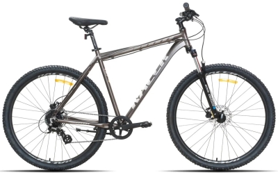 Racer Expert 29 (2026)