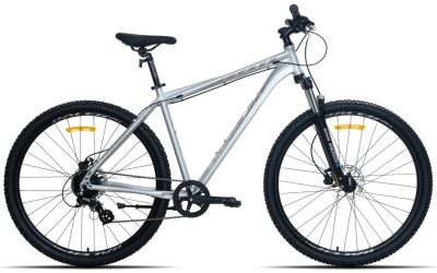 Racer Expert 29 (2025)
