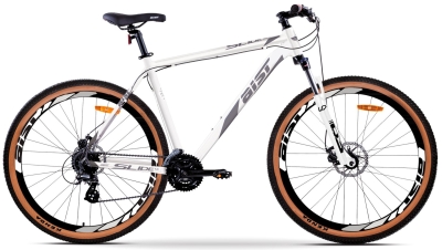 AIST Slide 1.0 29 (2025)