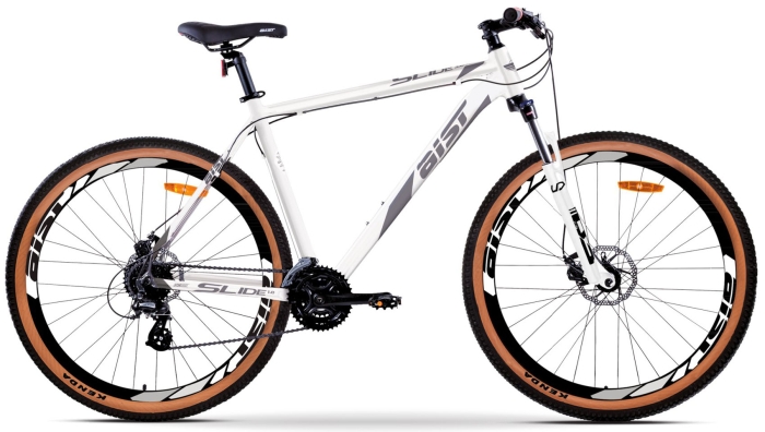 AIST Slide 1.0 29 (2025)