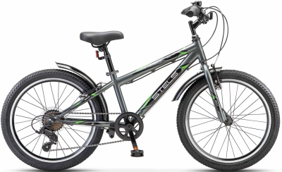 Stels Pilot 220 V 20 (2024)