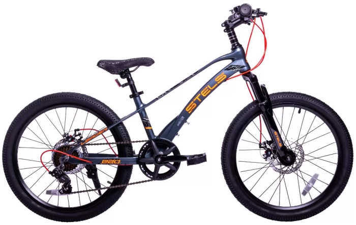 Stels Leader 220 MD 22 (2024)