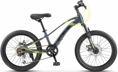 Stels Leader 230 MD 20 (2024)