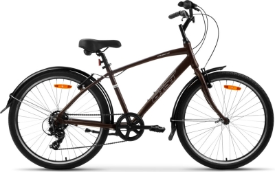 AIST Cruiser 1.0 (2025)