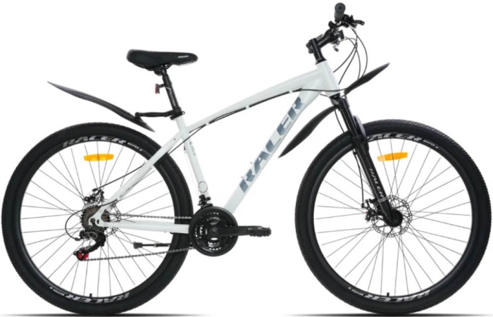 Racer Boxfer 29 (2025)