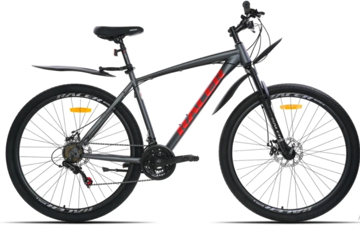 Racer Boxfer 29 (2024)