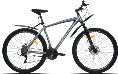 Racer Boxfer 29 (2024)