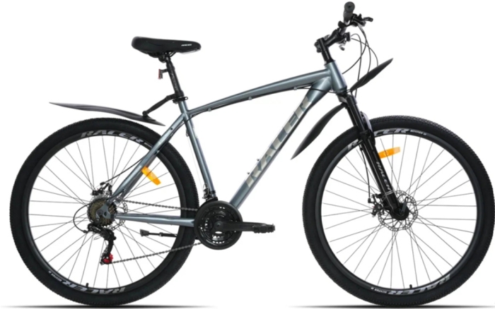 Racer Boxfer 29 (2024)