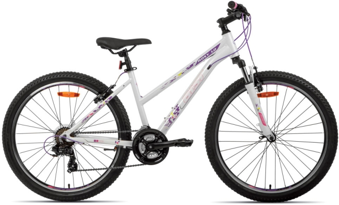 AIST Rosy 1.0 (2024) 