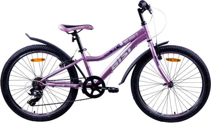 AIST Rosy Junior 1.0 (2024) 