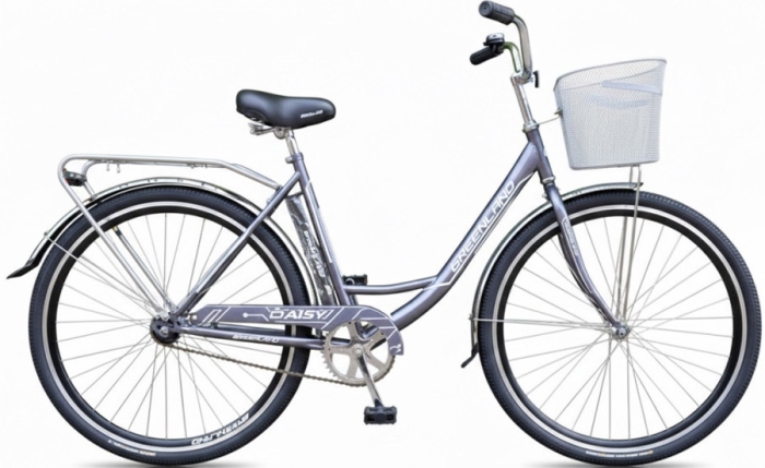 Greenland Daisy 28 (2024)