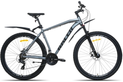 Racer XC90 29 (2025)  