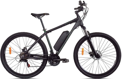 AIST Volt 29 250W (2025)