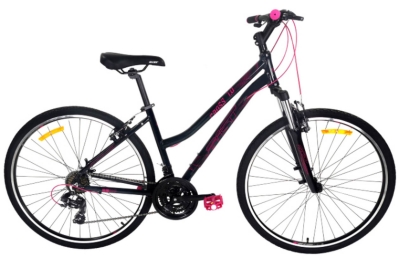 AIST Cross 1.0 W (2024) 