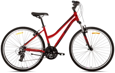 AIST Cross 1.0 W (2024) 