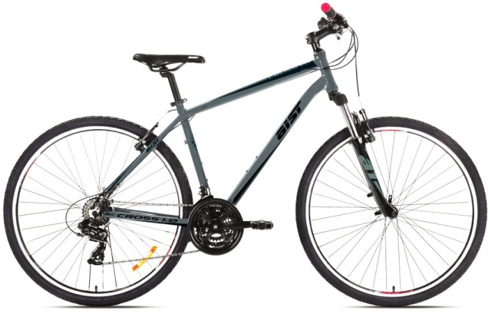 AIST Cross 1.0 (2024) 