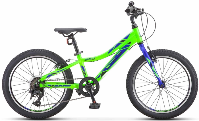 Stels Pilot 250 Gent 20 V020 (2023) 