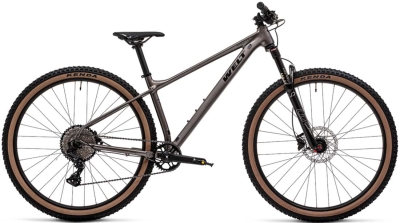 Welt Rambler 1.0 29 (2025) 