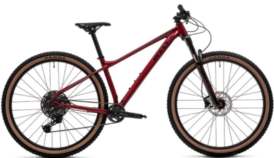 Welt Rambler 2.0 29 (2025) 