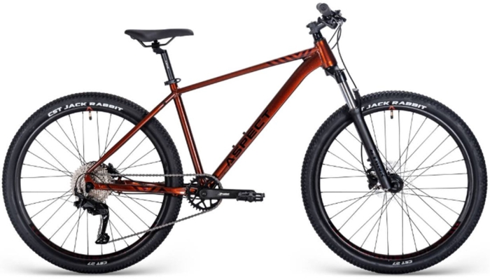 Aspect Nickel Elite 29 (2025) 